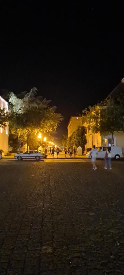 Ales Apartman Sombor Dış mekan fotoğraf
